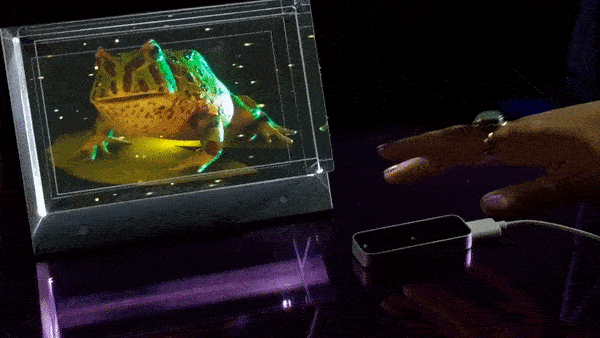 Interactive pet Froggo using looking glass and ultraleap hand tracking
