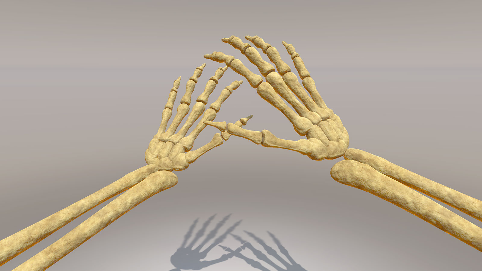 Ultraleap skeleton hands from Unity Hands Module