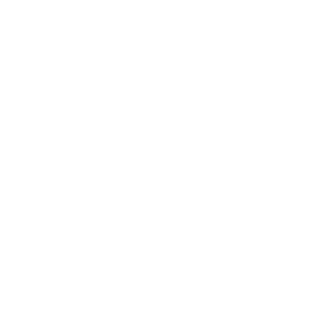 Hand star icon